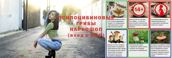 mdpv Кинешма